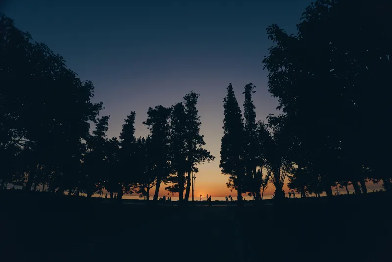 silhouette of woman in modern boho-western denim street style walking at sunset with film color and lifestyle mood among trees and open sky