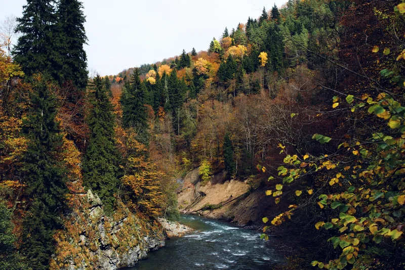Осенний лес, горы, природа, река, путешествие, пейзаж