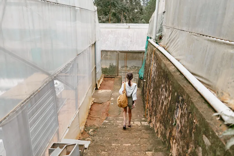 A young woman walking down steps in a greenhouse, carrying a bag, surrounded by plants and natural light, evoking a sense of relaxation and connection with nature