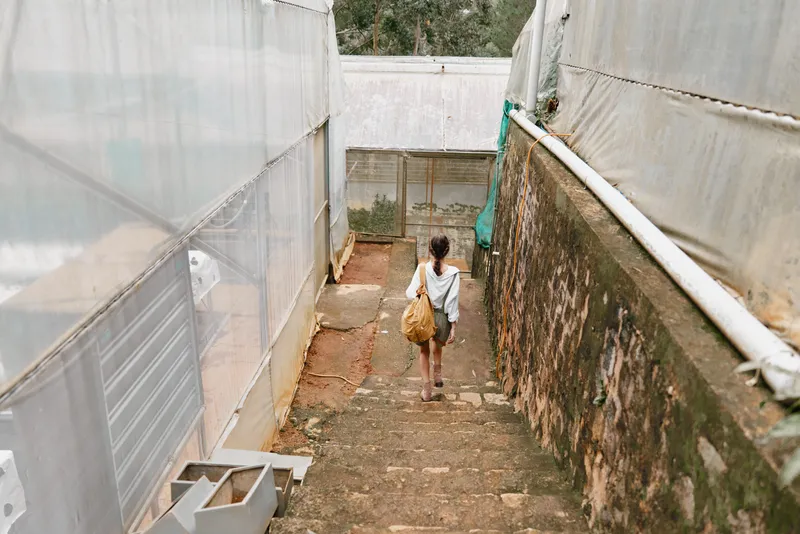 Young woman walking down the steps in a greenhouse, wearing casual attire, showcasing a serene expression in a natural environment with greenery all around