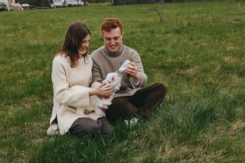 Couple sits on a grassy meadow feeding a white goat kid, sharing a warm, candid moment outdoors, cozy sweaters, natural light, friendly countryside lifestyle portrait of care and companionship
