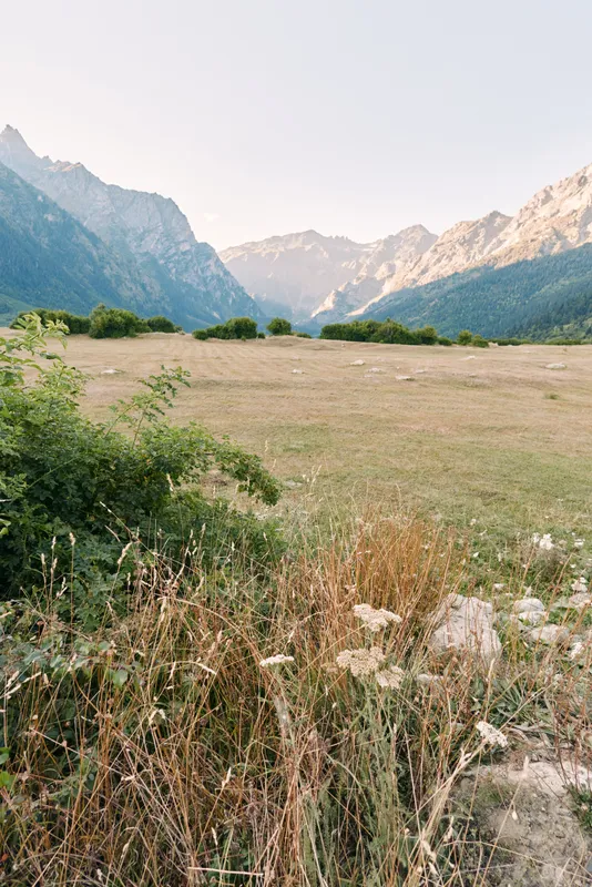 mountains meadow valley grass wildflowers landscape nature sky. Wide alpine valley with grassy meadow and wildflowers in foreground, distant rocky peaks and clear pale sky create peaceful outdoor