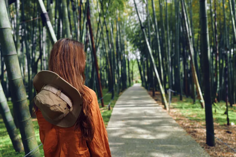 Woman with hat walks along a bamboo path in a peaceful forest, walking traveler viewed from back on a scenic walkway surrounded by tall green stalks and serene nature.