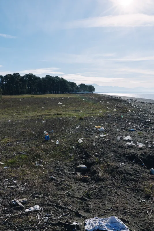 Deserted beach scene with litter along the shore, plastic bottles and debris on sand under bright sun, calm water and distant trees highlighting the contrast between nature and pollution