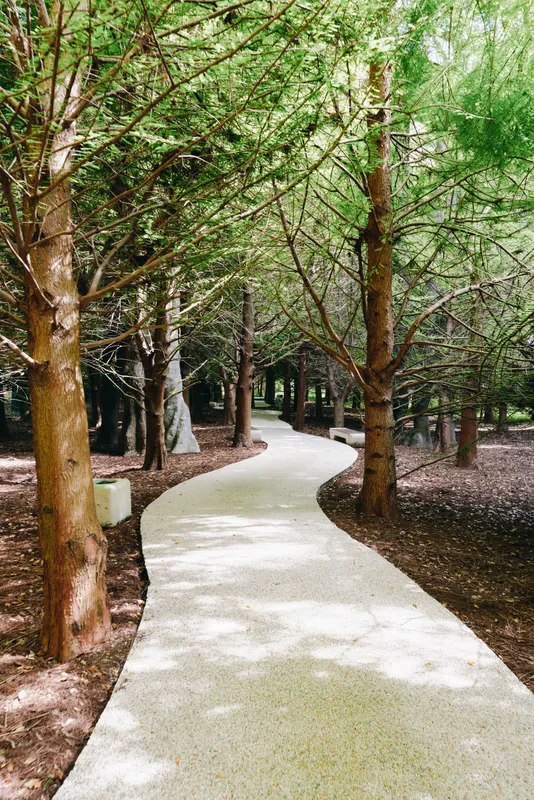 path walkway forest trees trail park nature pathway winding through shaded green woods, curved gravel footpath leading into tranquil woodland setting for walking and outdoor relaxation