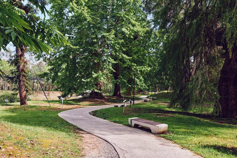 Path, bench, park, trees, grass, walkway, nature, greenery. Curved gravel path winds through a shaded park with mature trees and a solitary bench on manicured lawn, peaceful summer scene.