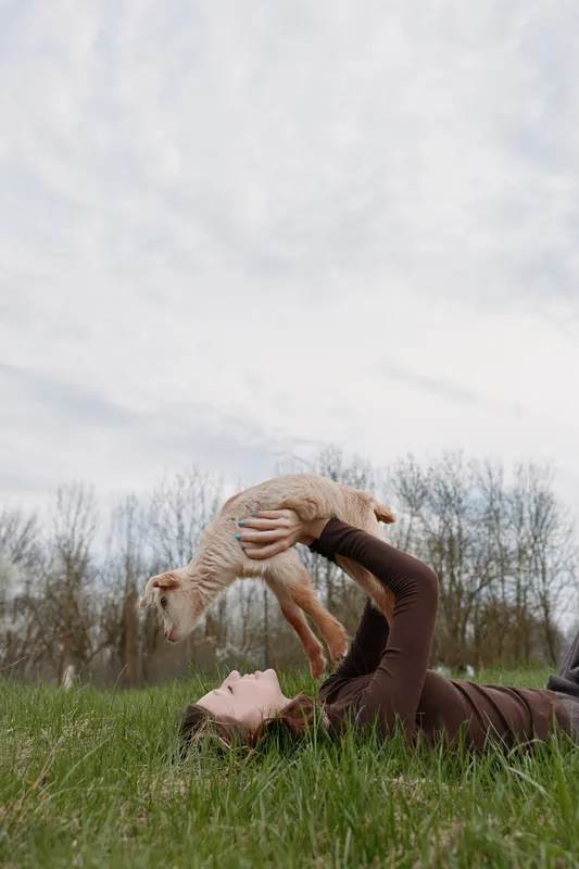 Young woman lies on grass in a brown sweater lifting a baby goat above her with a joyful expression in a natural outdoor setting under cloudy sky