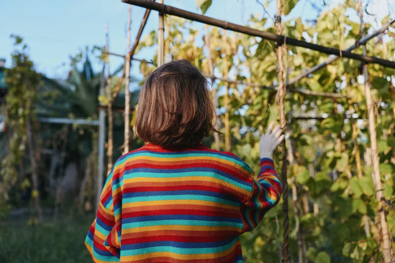 Woman in a colorful striped sweater back view in a sunlit vineyard, touching a wooden trellis, contemplative mood, shoulder-length hair, casual outdoor lifestyle travel portrait.