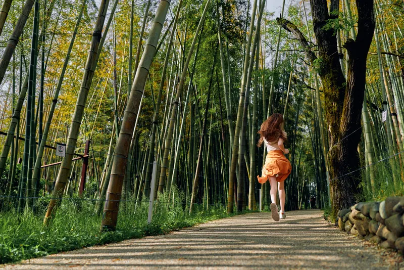 Woman running along a forest path through tall bamboo, dress flowing and back to camera, nature trail scene in summer sunlight, motion, freedom and outdoor adventure.
