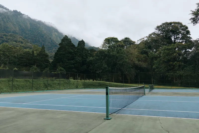 Outdoor Tennis Court Surrounded by Lush Greenery on a Cloudy Day