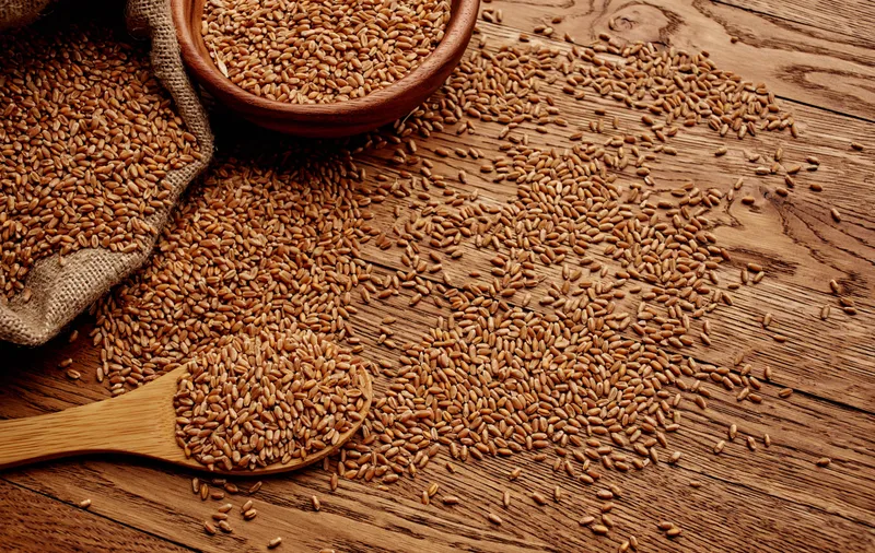 Пшеница на тарелке, текстура фона, вид сверху, зерновые продукты