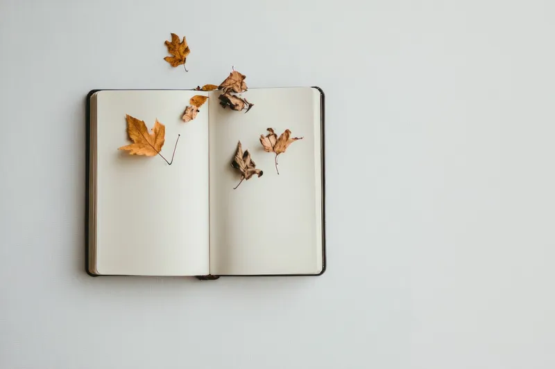 Открытая записная книжка, украшенная сухими осенними листьями, передающая суть осени и природы