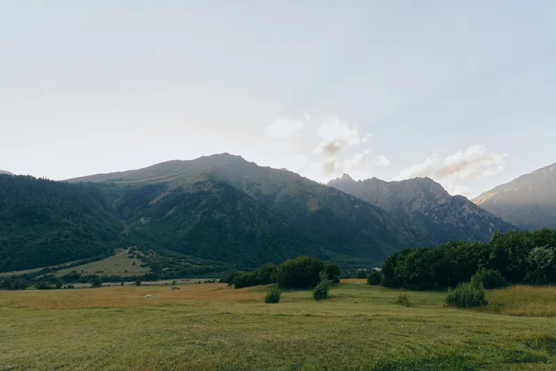 Green grassy field with scattered bushes under clear sky and mountain range in the background during daytime, natural landscape with peaceful outdoor environment.