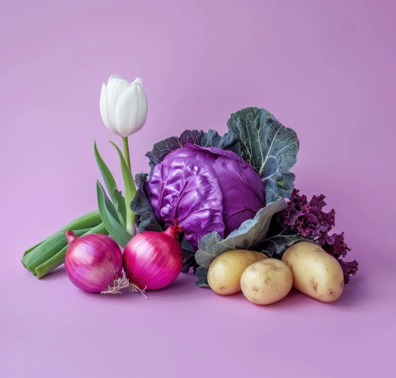 Яркая композиция из фиолетовой капусты, красного лука, желтого картофеля и белого тюльпана на мягком фиолетовом фоне