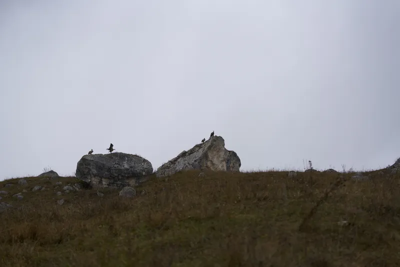 Горный пейзаж, скалы, камни, облака в небе, трава