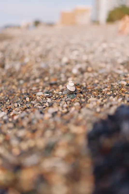 Shell on a pebbled beach with a soft focus ocean horizon, calm shoreline and warm sand textures, tiny stones contrasting with the shell, conveying a peaceful coastal moment by the waves.