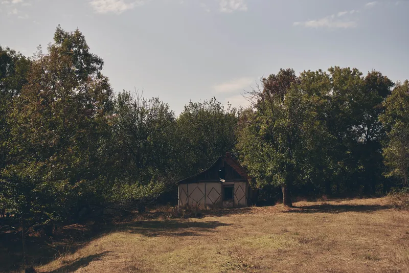Зеленые деревья, природа, летнее солнце, пейзаж со зданием на заднем плане