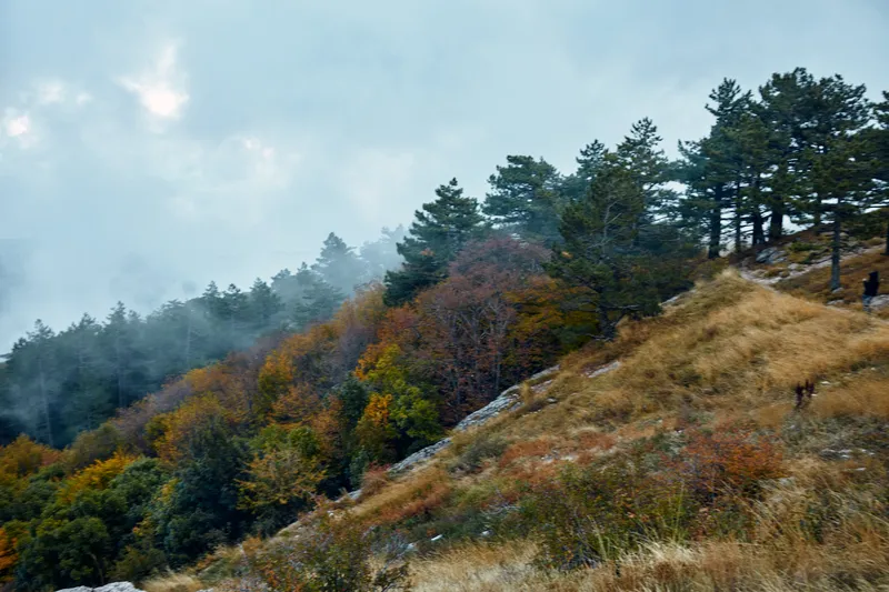 Пейзаж с деревьями на склоне холма и человеком, едущим верхом на лошади на природе