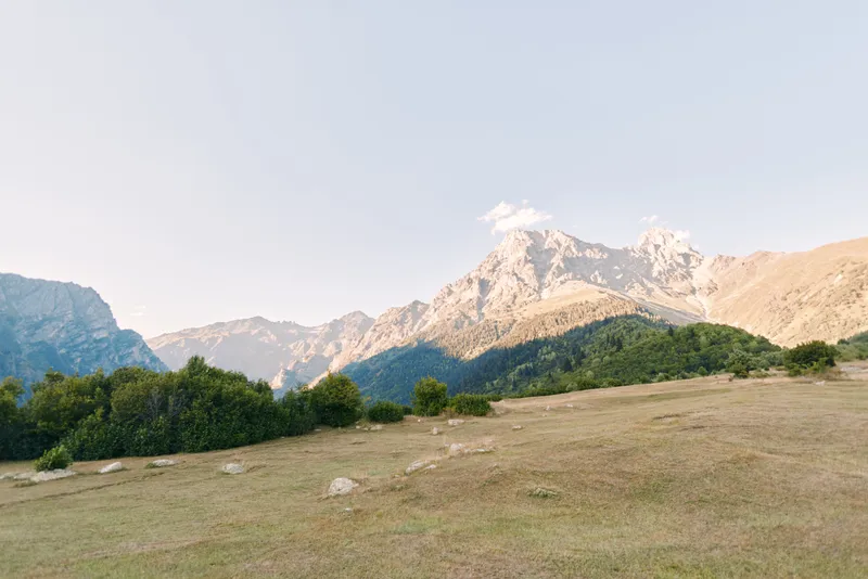 Mountain meadow with grass and scattered shrub on rolling hill, distant rocky peak under clear sky. Wide landscape view for nature, travel, hiking and outdoor scenic scenery.