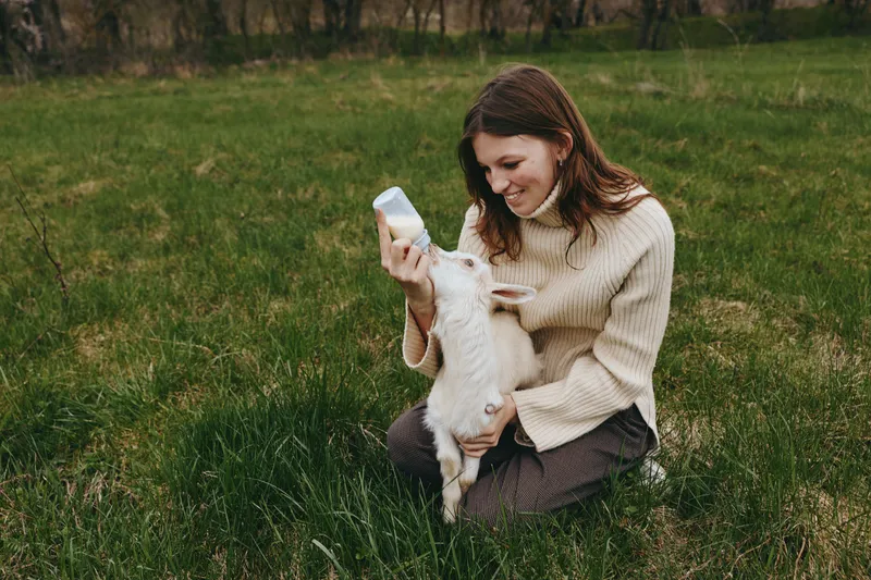 Bright outdoor scene shows a woman kneeling in tall grass, bottle feeding a curious goat kid, warm sweater, gentle smile, peaceful countryside backdrop, natural colors, everyday farm lifestyle