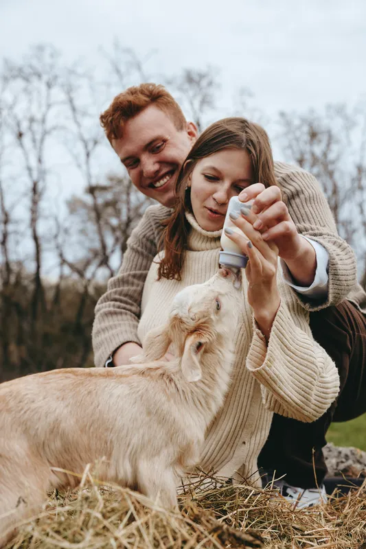 Young couple in cozy sweaters happily feeds a baby goat with a bottle outdoors in a rustic setting, enjoying a natural and warm lifestyle moment together.