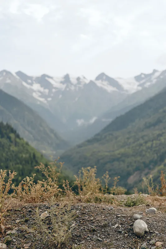 mountain valley peaks landscape nature foreground with grasses and rocky soil in serene alpine scene with distant snow capped ridges
