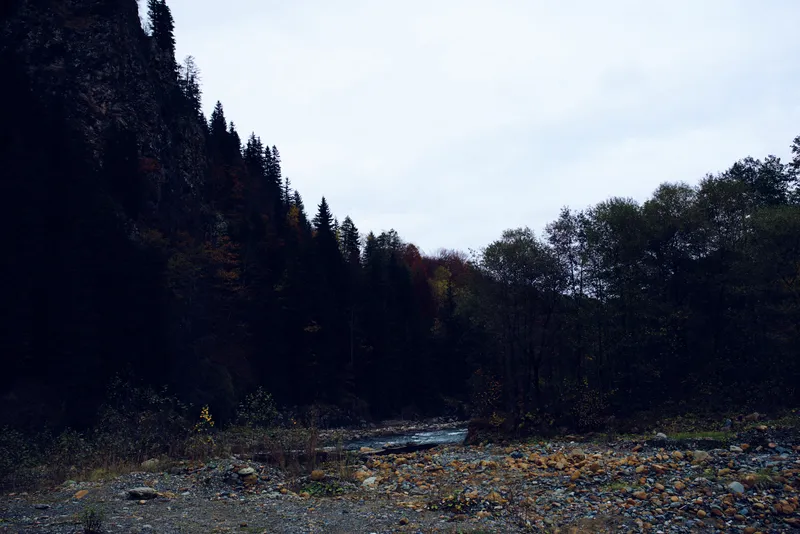 Осенний пейзаж: горы, река, путешествие и красота природы