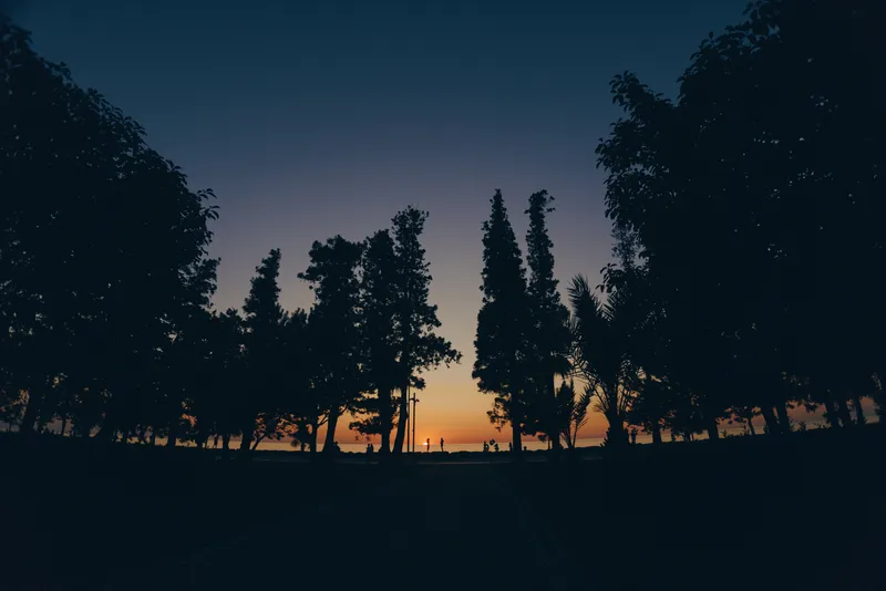 peaceful sunset with tall trees silhouette against deep blue sky, serene evening atmosphere, natural landscape at dusk in calm environment