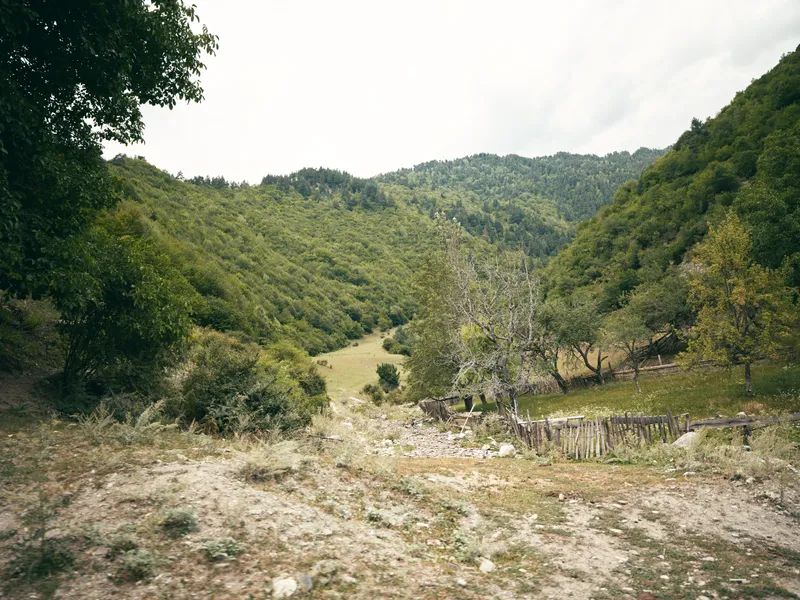Landscape with hillside trees and a dirt path, rustic field and stone wall, a calm countryside scene showing nature along a winding trail into a green valley