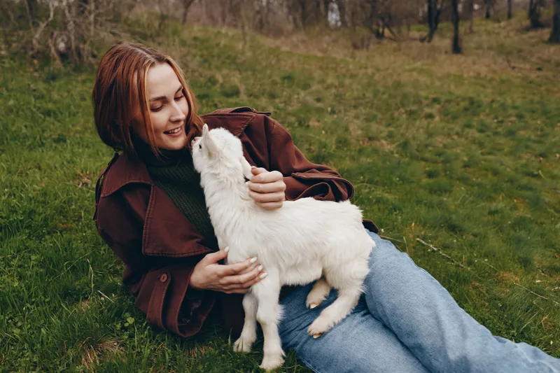 Cheerful woman outdoors, lying on grass, embracing a white goat kid in a sunlit meadow, cozy jacket, relaxed mood, candid nature moment, shared laughter, natural colors, warmth