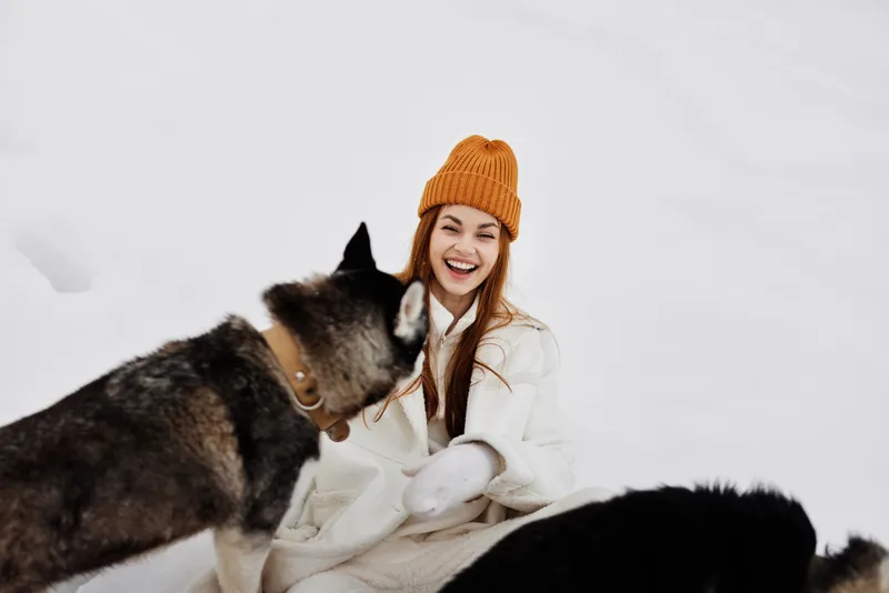 Женщина играет в снегу с собаками, веселье, дружба, зимние каникулы