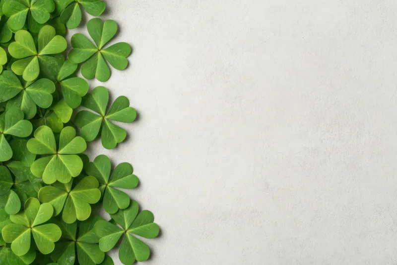 Свежие зеленые листья клевера создают безмятежную атмосферу на светлом фактурном фоне, отражая темы природы, удачи и жизненной силы, подходит для оздоровительных и сезонных проектов