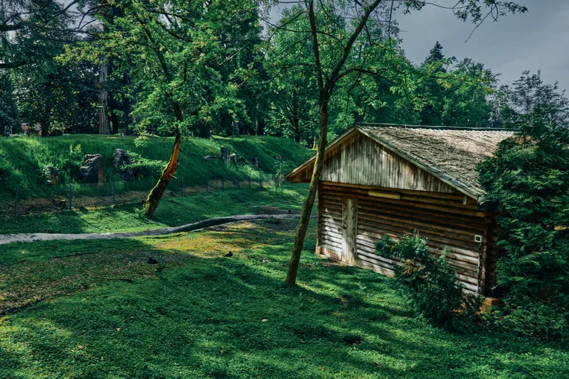 Cabin wooden countryside forest grass trees, rustic log shed by a small stream and green lawn, mossy roof, shaded grove, peaceful rural landscape ideal for nature retreat photography.