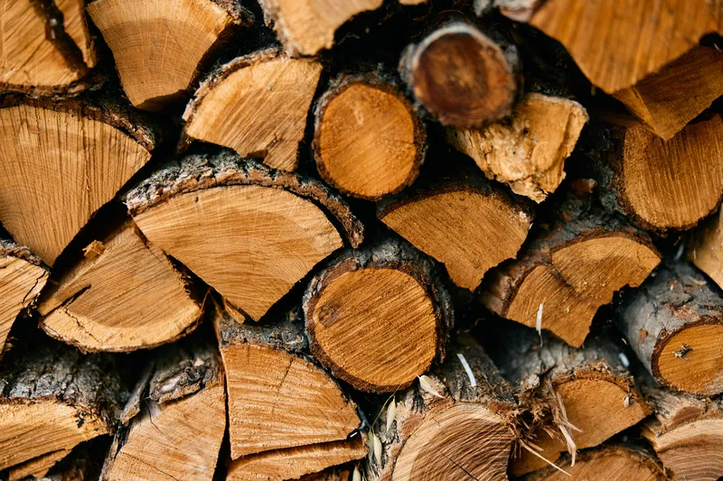 Крупный план деревянных брёвен с надписью «wood», символизирующих устойчивость и природные ресурсы