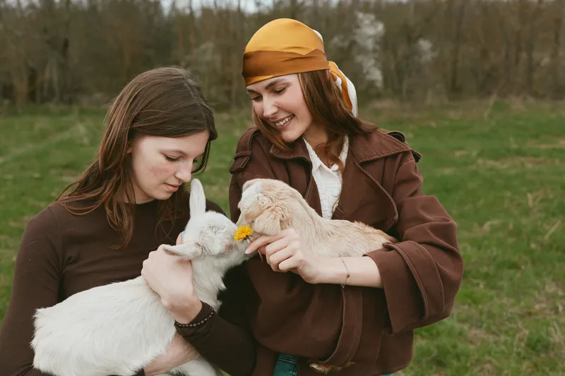 Two women in a countryside field share a gentle moment with two goats, capturing farm life, companionship, and rustic joy in a natural lifestyle setting with warm sunlight.