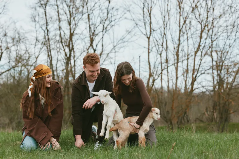 A cheerful family smiles and interacts with two young dogs in a sunlit park, capturing a candid moment of bonding outdoors. A simple lifestyle scene emphasizes warmth, connection, and everyday joy