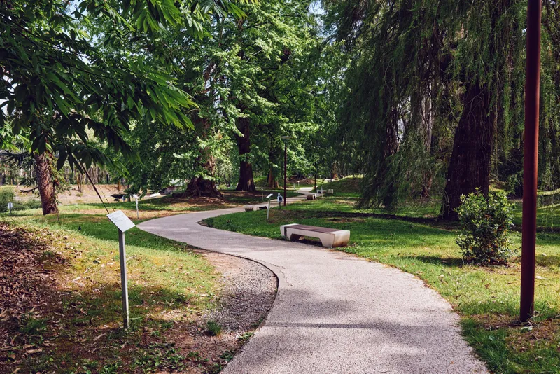 Path, bench, trees, park, walkway, green, nature, gravel Curved gravel path winding through a shaded park with a wooden bench, lush trees and grassy lawns, peaceful outdoor scene for walking.