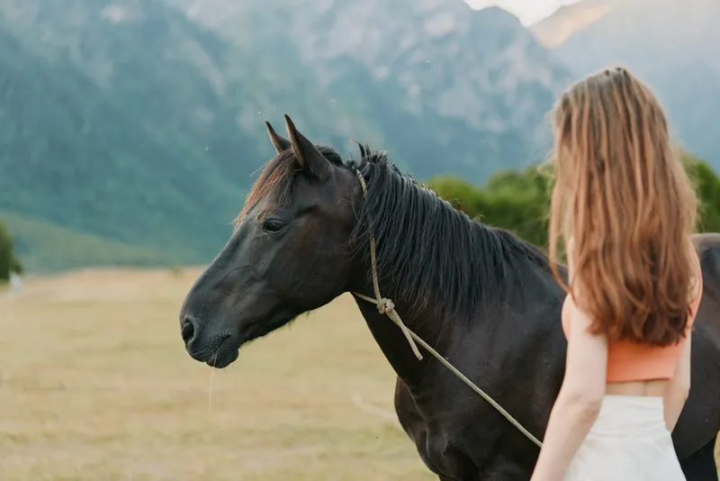 A serene scene shows a calm horse standing in a wide field as a woman with long hair walks beside it, creating a peaceful, natural atmosphere of countryside bond.