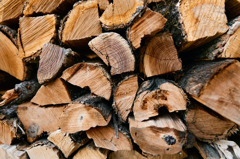 Крупный план поленницы дров, на одном из поленьев написано слово «wood» при ярком естественном освещении