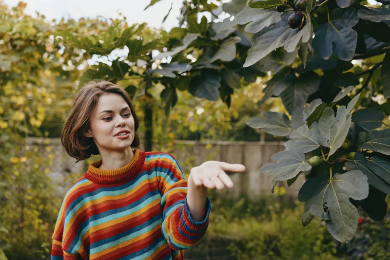 Woman in a colorful striped sweater in a backyard garden, reaching hand to green leaves and fig tree, smiling brunette in a casual outfit for cozy lifestyle and nature portrait.