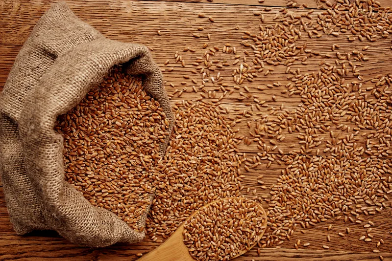 Здоровое питание, органические продукты, продукты из бакалеи, вид сверху