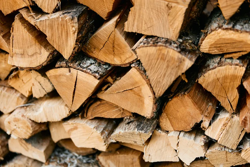 Поленница дров с табличкой «wood» на фоне стены из дров, готовых к зиме