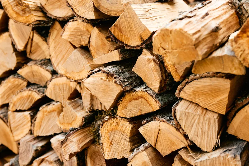 Деревенская поленница брёвен на фоне текста «wood», демонстрирующая натуральные текстуры и материалы дерева
