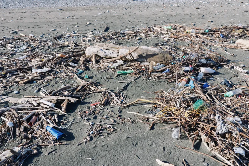 Beach scene with scattered litter and plastic debris along the shoreline, illustrating pollution, environmental damage, and waste on a sandy coast.