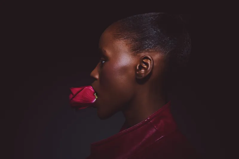 Profile of dark skinned African woman holding a red rose in her mouth against black background. The image conveys elegance, beauty, and contrast with dramatic lighting and minimalistic style.