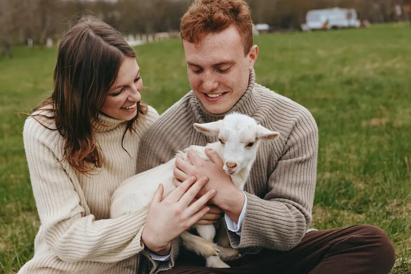 Lifestyle scene of a couple cuddling a goat kid in a field, wearing knit sweaters, they share affectionate smiles under sunlit grass, warm, wholesome moment in a rustic meadow