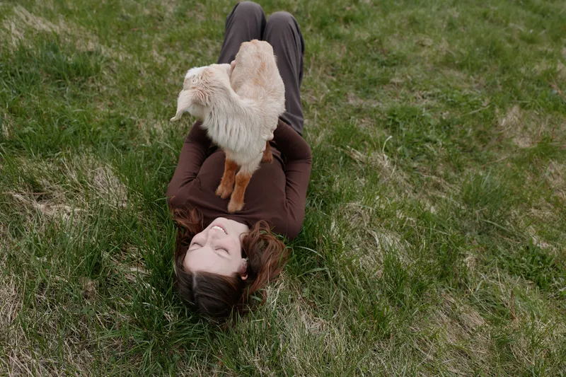 Goat kid playfully climbs over a woman lying on grass in an outdoors lifestyle moment, sunlight soft and warm, natural colors and relaxed mood, candid bond between human and animal in a pastoral