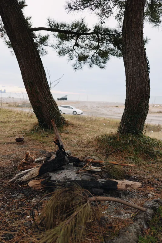 Fire at a rugged campsite along a coastal landscape, charred logs and embers beside weathered wood, windswept grass, trees framing a distant sea view and a lone parked vehicle on the shore