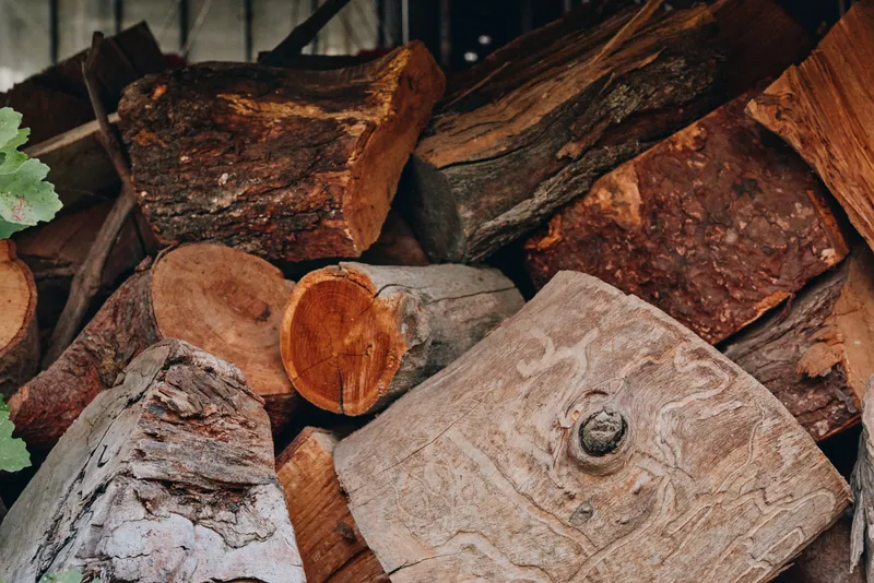 Firewood stacked logs cut wood pile closeup showing bark and tree rings in a rustic outdoor rural backyard, autumn supply for fireplace and wood stove, natural textured timber storage.