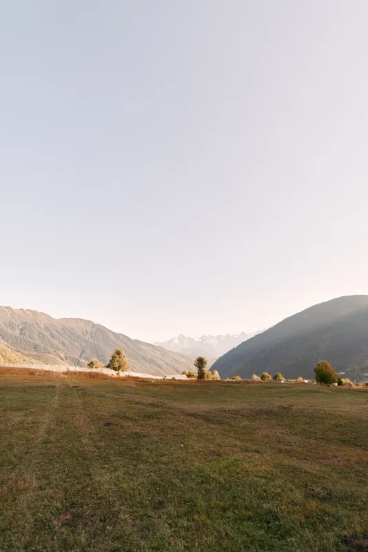 Meadow, mountains, valley, trees, sky landscape with open grassy field and scattered trees at golden hour, distant mountain ridges and soft pastel sky creating peaceful countryside atmosphere.